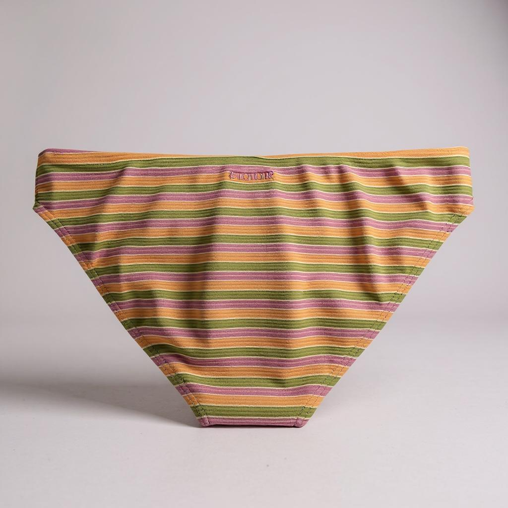 Billabong Hightide Tanlines Lowrider Bikini Bottom – Multicolor