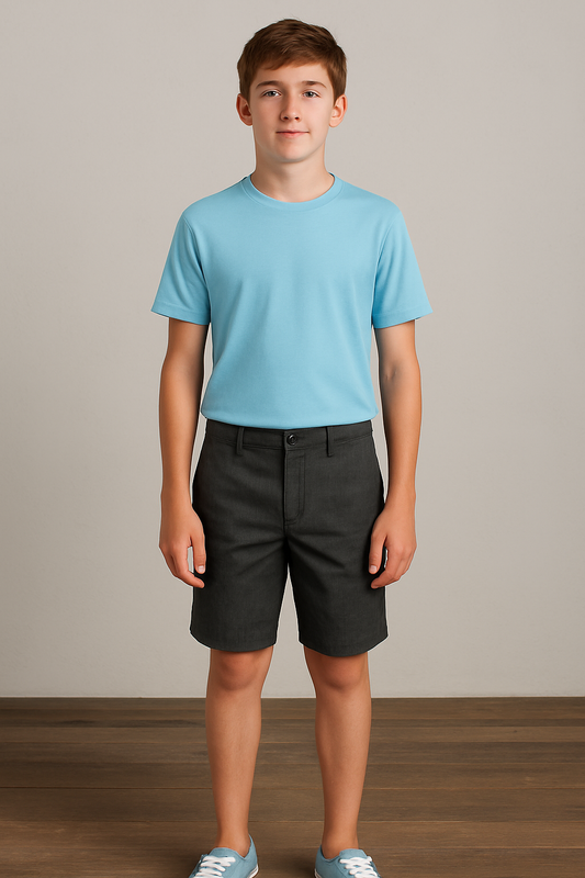 Volcom Big Boys Vmonty Short 17